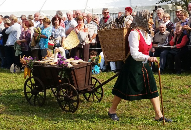 Almabtrieb-Lieskau (19).jpg