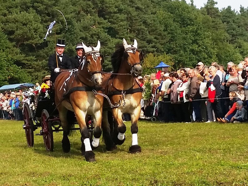 Almabtrieb-Lieskau (20).jpg