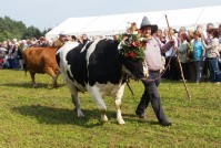 Almabtrieb-Lieskau (9).jpg
