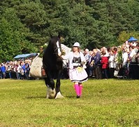 Almabtrieb-Lieskau (15).jpg