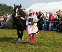 Almabtrieb-Lieskau (16).jpg