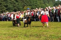 Almabtrieb-Lieskau (18).jpg