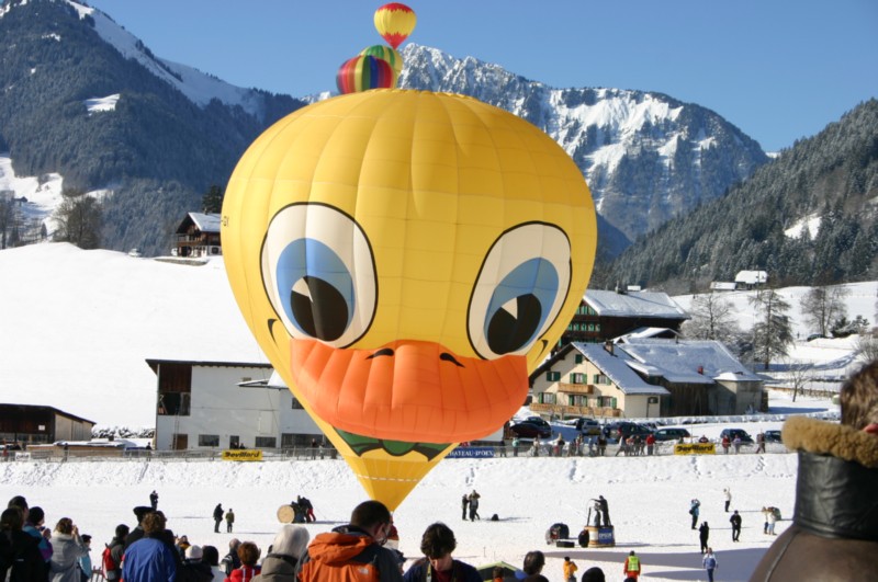 Ballon-Festival (22).JPG