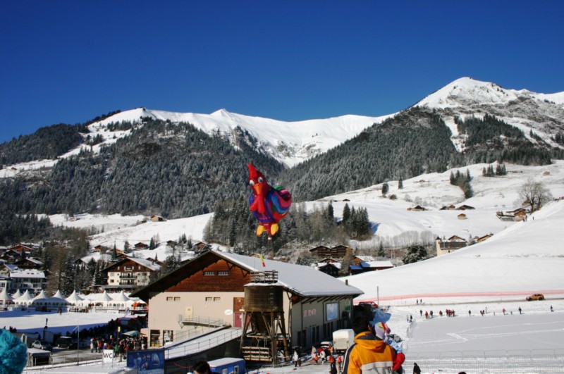 Ballon-Festival (38).JPG