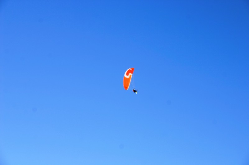 Ballon-Festival (60).JPG