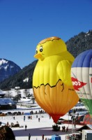 Ballon-Festival (35).JPG