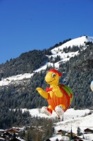 Ballon-Festival (59).JPG