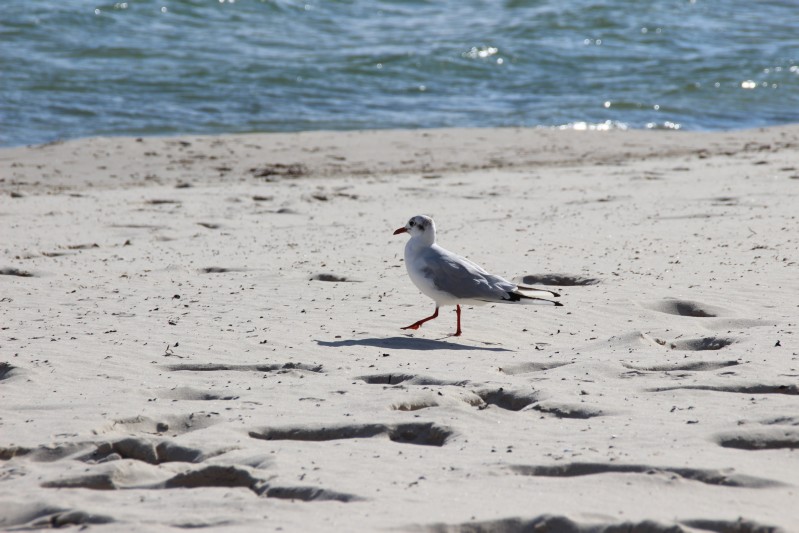 am Strand von Binz