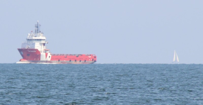Schiff