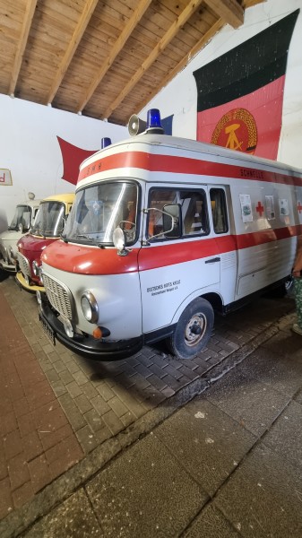 Binz 2024
