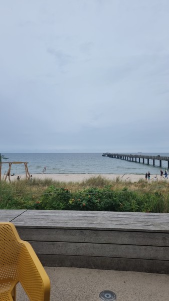 Binz 2024
