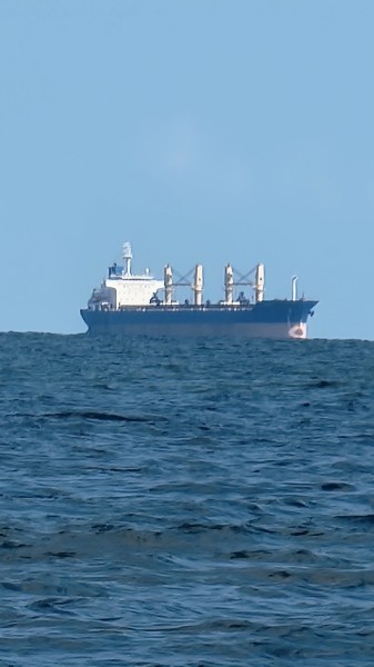 Binz 2024