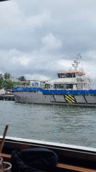 Binz 2024