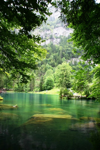 Blausee (25).JPG