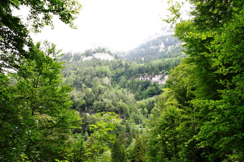 Blausee (4).JPG
