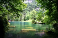 Blausee (24).JPG