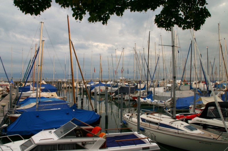 der Yachthafen