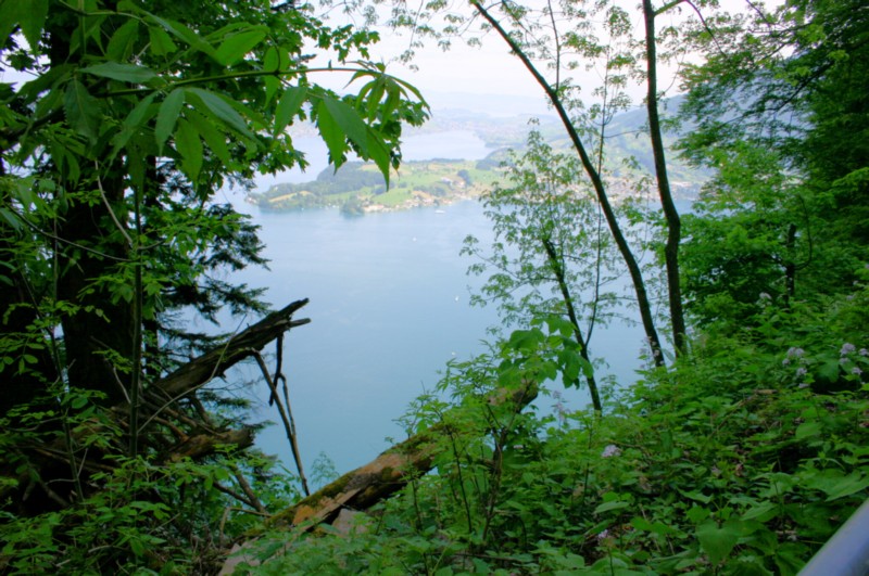 Buergenstock (14).JPG