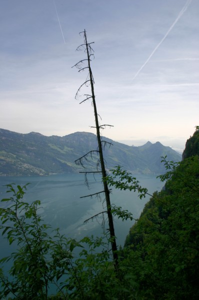 Buergenstock (17).JPG