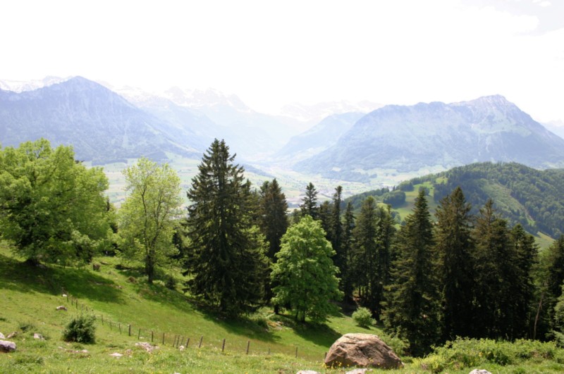 Buergenstock (22).JPG