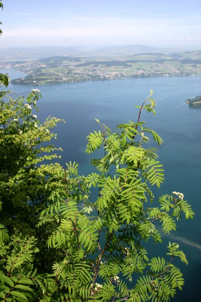 Buergenstock (25).JPG