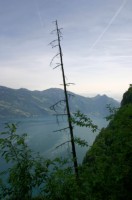 Buergenstock (17).JPG