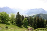 Buergenstock (22).JPG