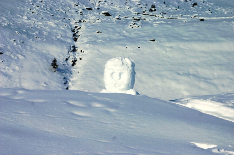 Bussalp (18).JPG