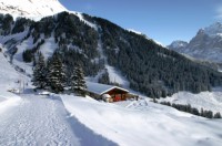Bussalp (13).JPG