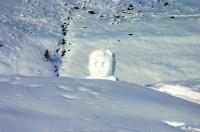 Bussalp (18).JPG