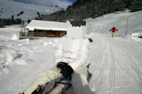 Bussalp (21).JPG