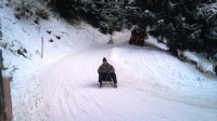 Bussalp (35).JPG