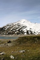 auf dem Splügenpass