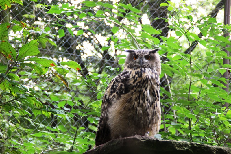 im Tierpark Pforzheim