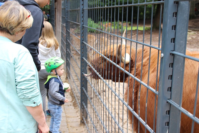 im Tierpark Pforzheim