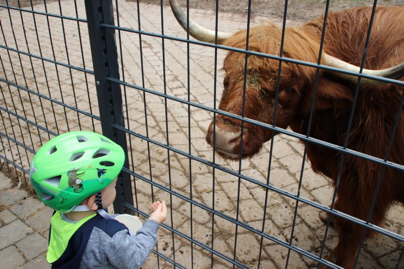 im Tierpark Pforzheim