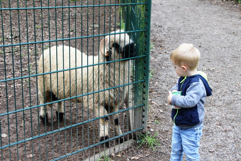 im Tierpark Pforzheim