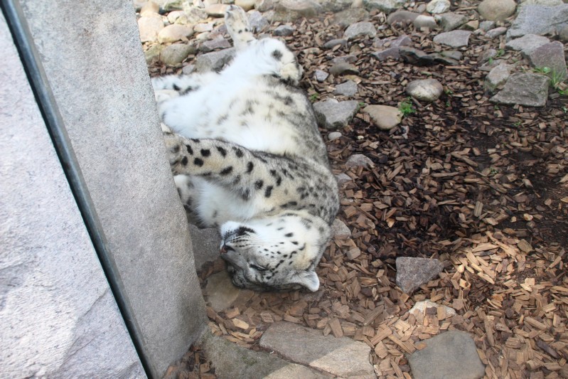 Zoo Karlsruhe