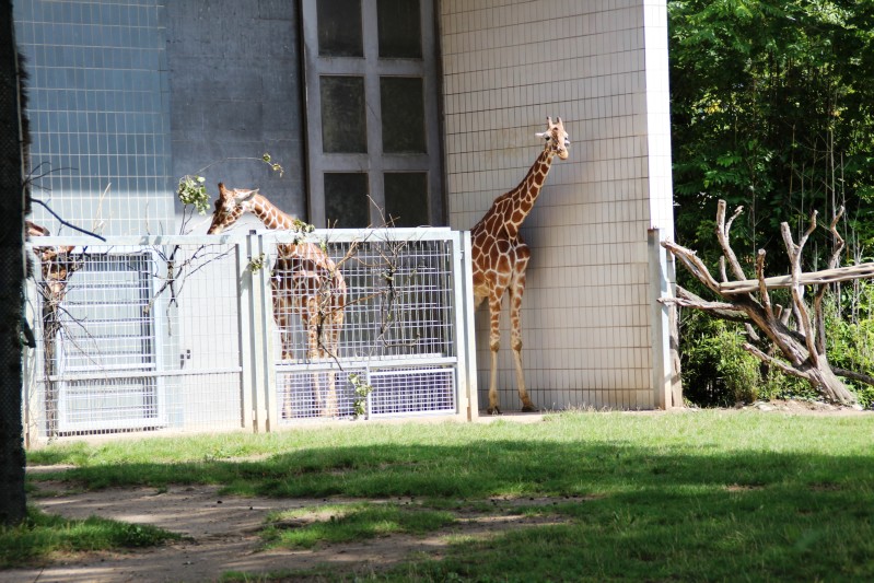 Zoo Karlsruhe