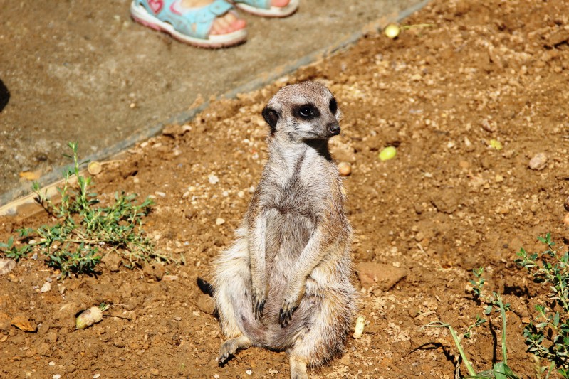 Zoo Karlsruhe