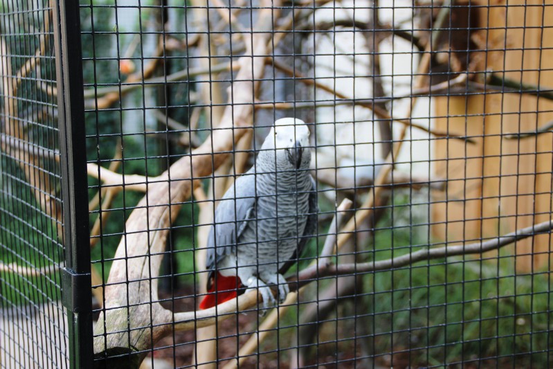 Zoo Karlsruhe