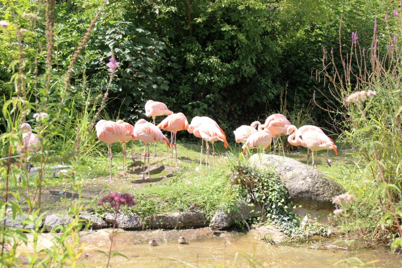 Zoo Karlsruhe
