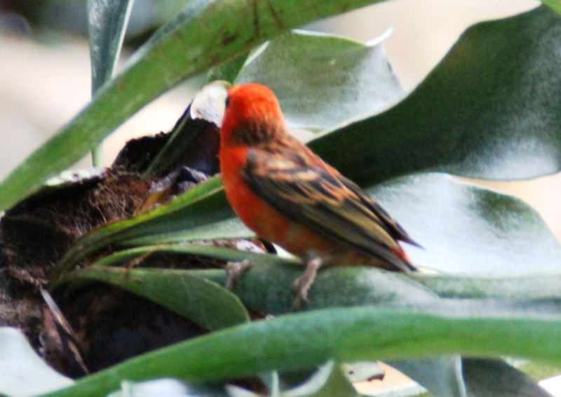 Zoo Karlsruhe