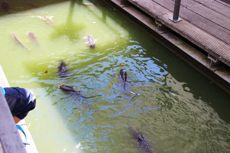 Zoo Karlsruhe