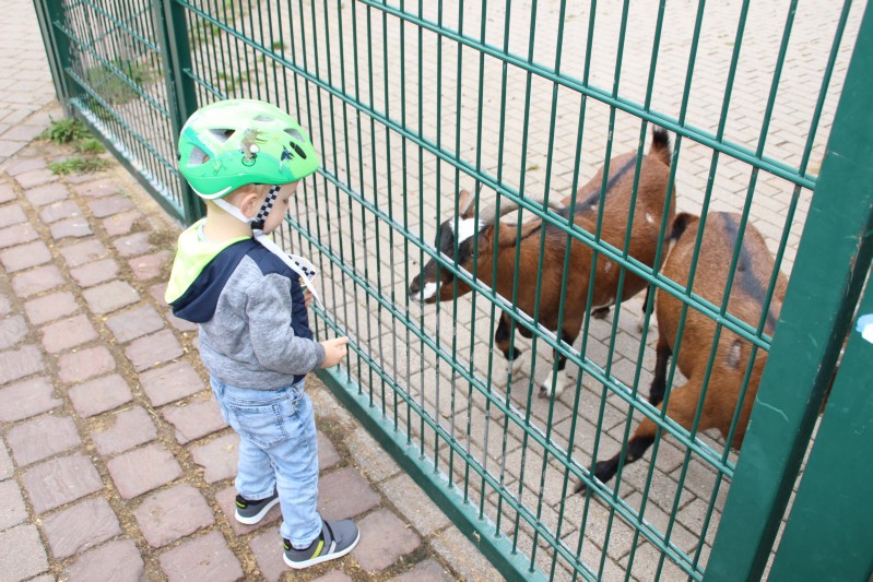 im Tierpark Pforzheim