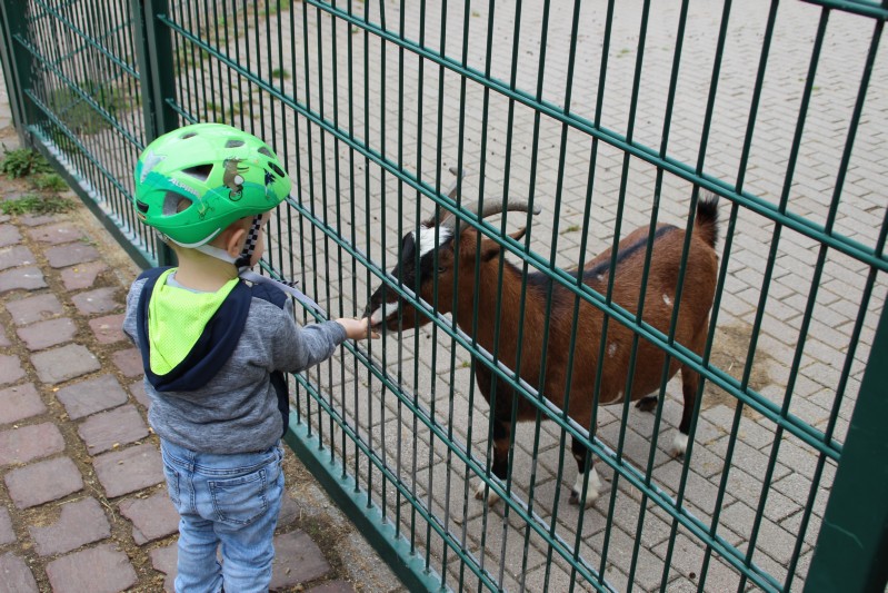 im Tierpark Pforzheim