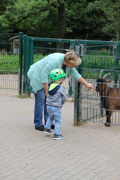 im Tierpark Pforzheim