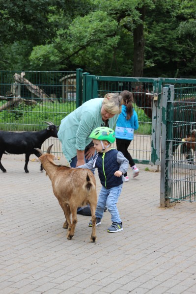 im Tierpark Pforzheim