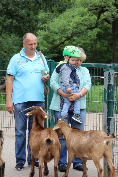 im Tierpark Pforzheim