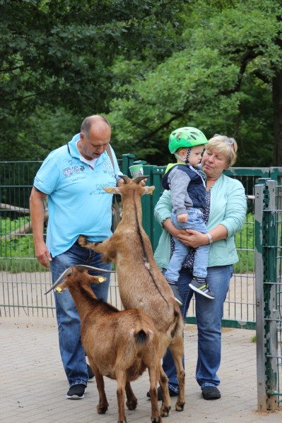 im Tierpark Pforzheim